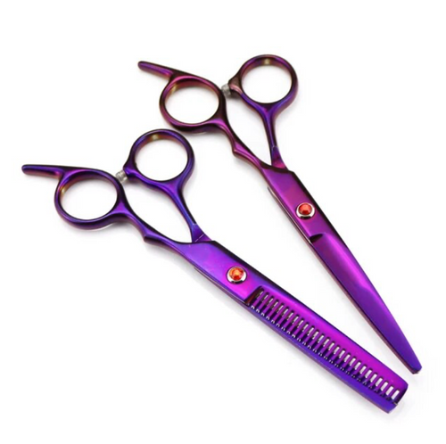 2 Pcs Hairdressing Stainless Steel Scissors Ans Thinning Shears Barber Set